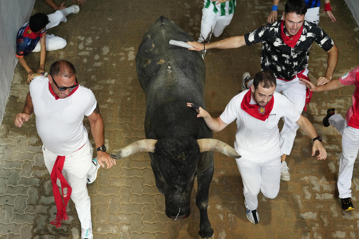 Los toros de la mítica ganadería de Miura cierran los encierros de los Sanfermines  / EFE