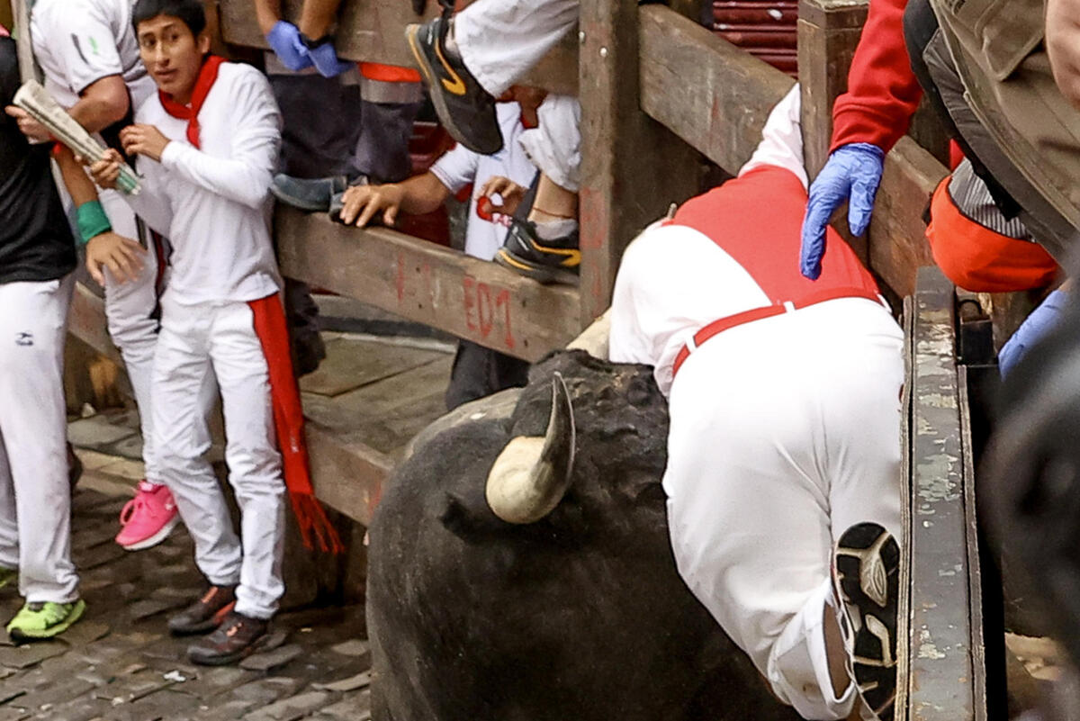 Los toros de la mítica ganadería de Miura cierran los encierros de los Sanfermines  / EFE