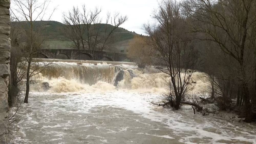 Río Ulzama a su paso por Villava