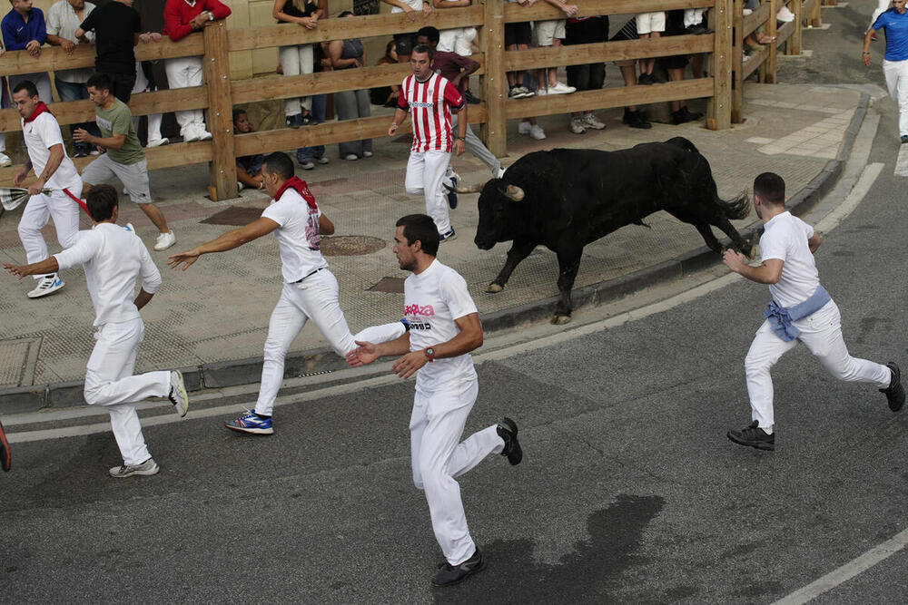 Cinco heridos y un traslado en el cuarto encierro de Tafalla