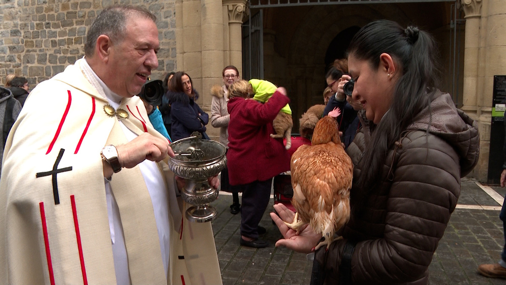 Animales bendecidos por San Antón