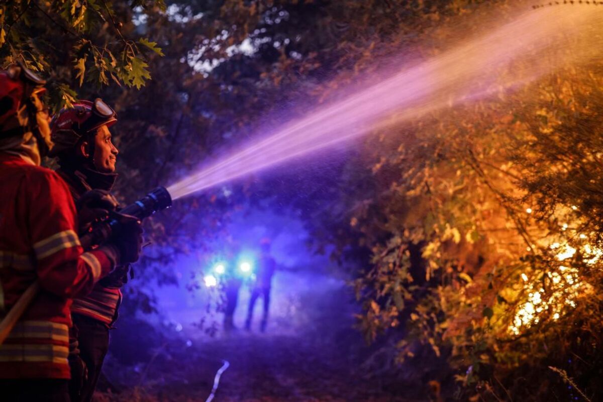 Forest fire in in Bornes de Aguiar, Portugal  / PEDRO SARMENTO COSTA