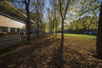 Pamplona plantará más de mil árboles en distintos parques