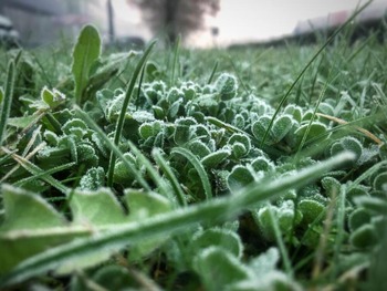 Navarra despierta con temperaturas bajo cero