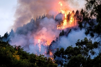 Navarra está en riesgo 'extremo' de incendios forestales