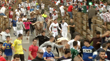 Los encierros de Santa Ana concluyen con una veloz carrera