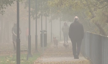 La Ribera vuelve a despertar bajo la niebla