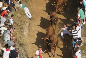 Las vacas de Lastur hacen gala de su nobleza y velocidad