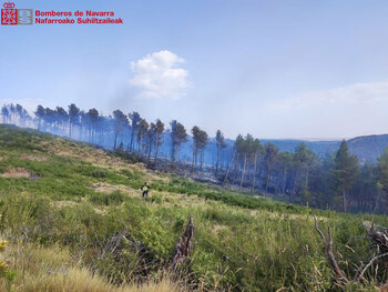 Sendos incendios por rayos afectan a Cáseda y Ustés