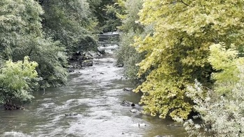 'Life Kantauribai' cuida el ecosistema fluvial de Bertiz