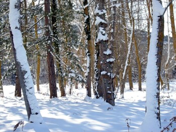 Una nueva DANA trae la nieve a los montes navarros