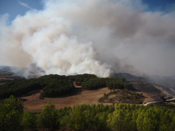 Navarra está en riesgo alto o muy alto de incendio forestal