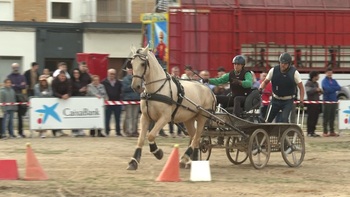 El mercado artesanal cierra la Feria del Caballo de Marcilla