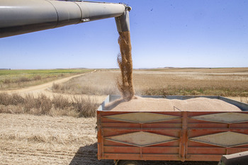 Arranca la contratación en herbáceos, olivar y frutos secos