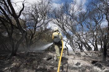 Navarra convoca ayudas para la prevención de incendios