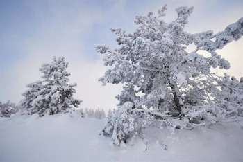 La cota de nieve desciende este domingo hasta los 700 metros