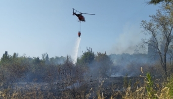 Controlado un incendio junto a las piscinas de San Jorge