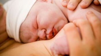 Navarra registra un aumento del 4,51% en natalidad