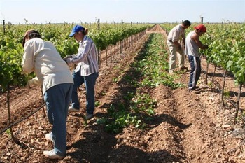 UAGN aboga por el aumento de mujeres en el sector primario