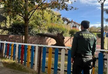 El viento derriba un árbol junto a un parque en Elizondo