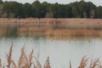 Agua garantizada para cuidar la biodiversidad en Carcastillo