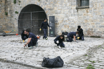 Alumnos trabajan en arreglar los pavimentos de la Ciudadela