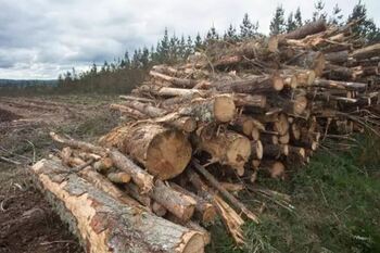 Firmado el convenio de la Madera de Navarra con 