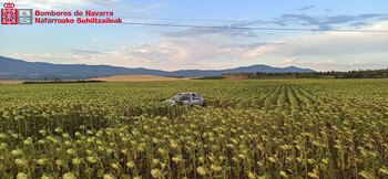 Acaba con el coche en un campo de girasoles en Aibar