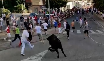 Peligroso último encierro de Estella - Lizarra