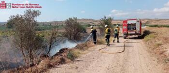 Extinguido un incendio en una zona de regadío de Lodosa