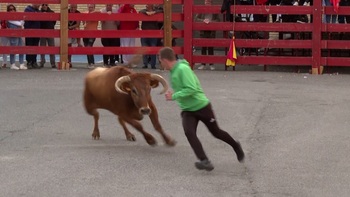 Emoción y recortes en los encierros de Villafranca