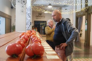 Geltoki busca su tomate más sabroso