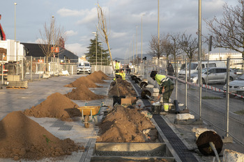 Un carril árbol completa la avenida de Gipuzkoa